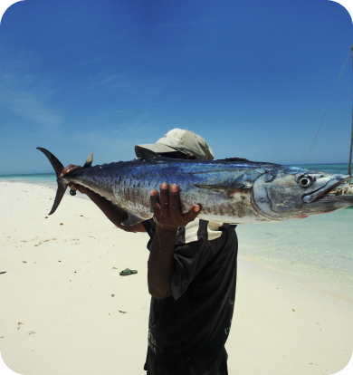 Galerie d’Aventures