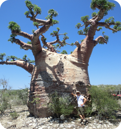 Galerie d’Aventures