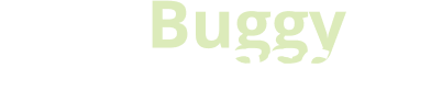 Logo Buggy Madagascar