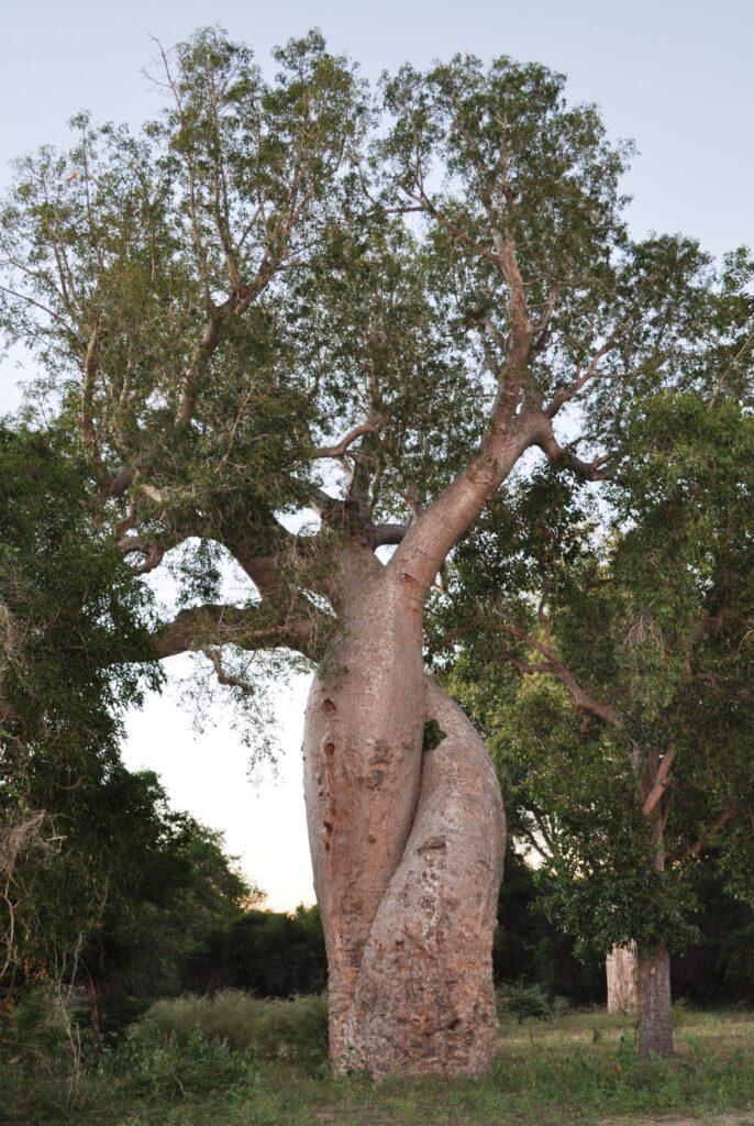 ????????????????????????????????????